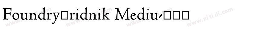 FoundryGridnik Mediu字体转换 FoundryGridnik Mediu字体转换